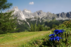 Ausblick auf die Bischofsmütze